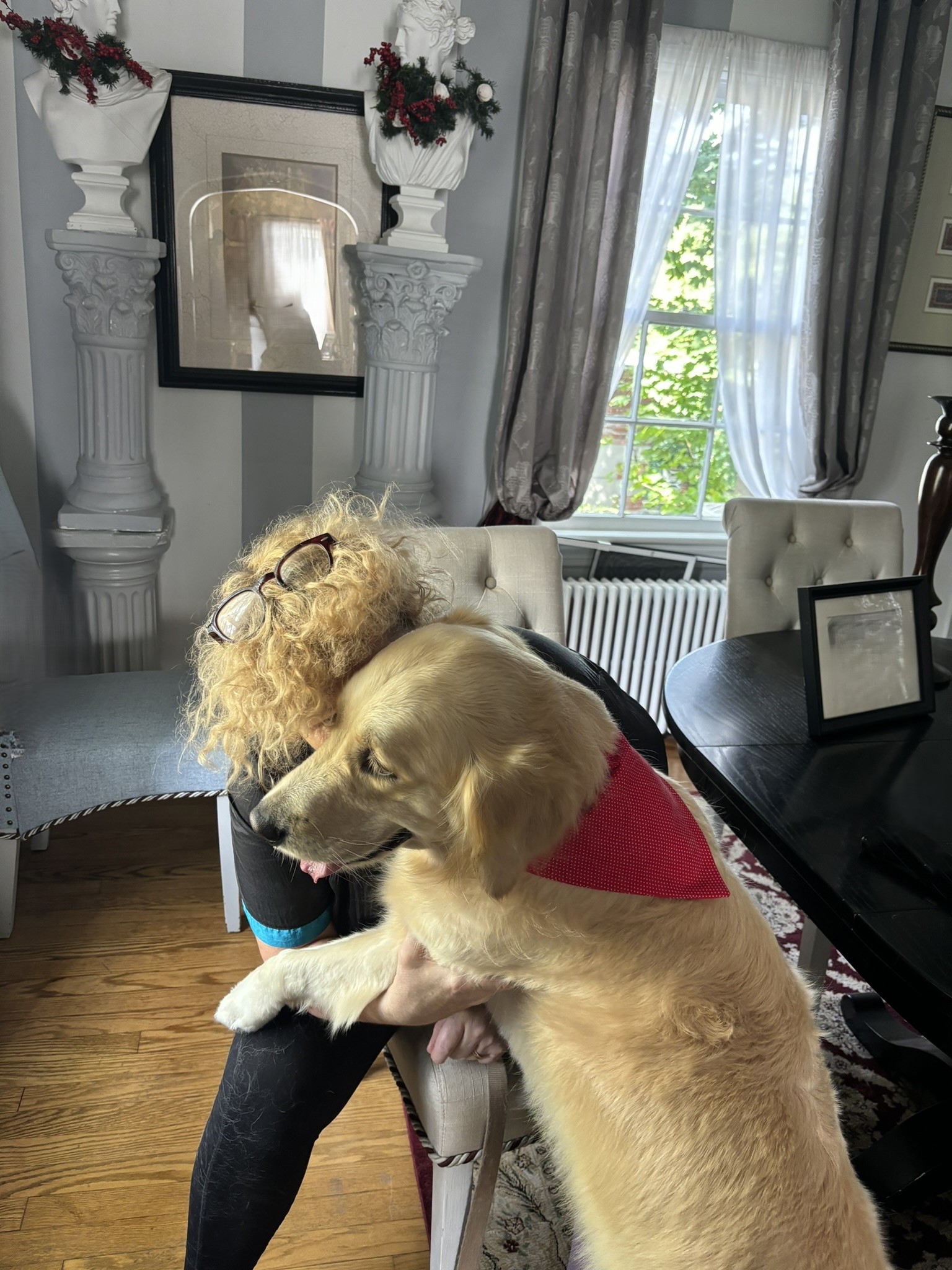 Happy Golden Retriever getting a comforting hug post-groom